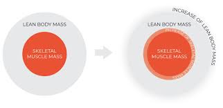 We did not find results for: Lean Body Mass Vs Muscle Mass Victory Mens Health