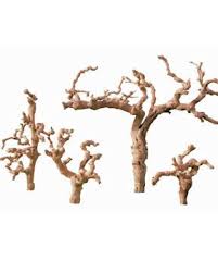 Pin On Grapewood Branches