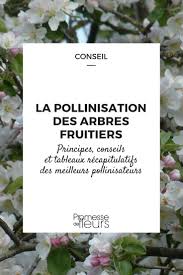 La Pollinisation Des Arbres Fruitiers Arbre Fruitier Fruitier Planter Des Arbres Fruitiers