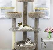 Maine Coon Cat Tower | Solid Wood Heavy-Duty Cat Tree for Large & Multi-Cat Homes