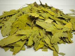 Teh daun jati cina efek samping. Info Penting Efek Samping Teh Daun Teh Daun Jati Cina Facebook