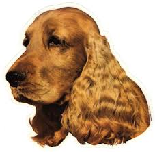 Black And Tan Cocker Spaniel For Sale Los Angeles English Cocker Spaniel Red Decal Sticker Dog Breed Transparent Uv Resistant Dog Breed Decal Dog Breeds Cocker Spaniel