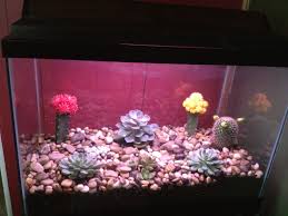 We have hundreds of ocean and beach crafts, plenty of them for preschoolers and toddlers too! 17 Old Aquarium Ideas Fish Tank Diy Fish Tank Aquarium
