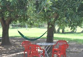 Itapiru Posada Paso De Patria Paraguay Outdoor Chairs Outdoor Decor Outdoor