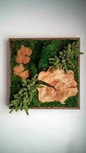 1001 Ideen Fur Deko Mit Moos Zum Erstaunen Und Bewundern Sukkulente Topfe Moos Kunst Und Indoor Garten