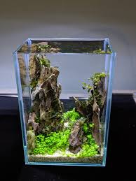 ワタクシ水槽