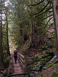 How To Go Hiking Near Portland At Old Salmon River Slight North Hikes Near Portland Castle Crags State Park Mount Hood National Forest