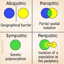 The Process Of Speciation By Cerise Silim Infogram Biology Lessons High School Biology Lessons High School Biology