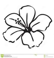 7 Hibiskus Zeichnen Ideen In 2020 Hibiskus Zeichnung Blumen Zeichnen