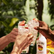 Our ingredients and our mission are simple: Malibu Rum Drinks