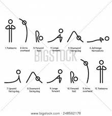 sun salutation yoga vector photo free trial bigstock