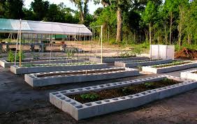 Maybe you would like to learn more about one of these? Florida Raised Beds Gardens Growin Crazy Acres