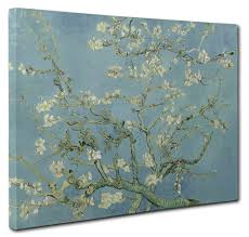 Enjoy free shipping on most stuff, even big stuff. Vincent Van Gogh Almond Blossom Canvas Picture Print Wall Art Size 51x76cm Ebay