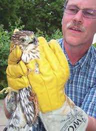 We can do it with your help.