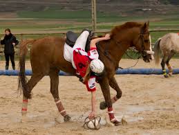 Resultado de imagen de horseball