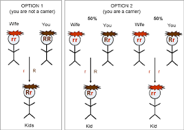 Genetics Unit Of Genetics Of Hair Color Dagpress Com