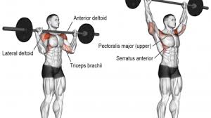 Barbell Overhead Press Exercise Guide And Video Weight Training Guide Shoulder Press Workout Overhead Press Barbell Shoulder Press