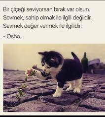bilmem kim adli kullanicinin anlamli hayat ve sozler panosundaki pin osho felsefe ozlu sozler
