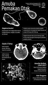 Pin Di Infografik Mild Report