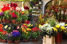 We did not find results for: Rekomendasi Toko Bunga Di Kota Padang Yang Terbaik Dan Cepat Prosesnya Mercedesmaidana Com