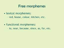 This set consists largely of the functional words in the language such as conjunctions, prepositions, articles and pronouns. English Morphology Morphology The Branch Of Grammar