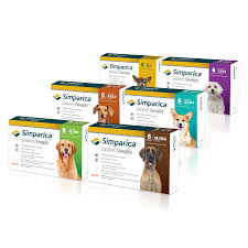I'm thinking of getting a cat, and i'm wondering how much it costs to keep a healthy happy cat per month? Shop Online Pet Stop Clinic