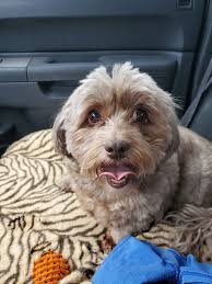 Anyone missing this girl? Found out by INDOT (231)