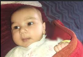 Adam Ahmed Mahmoud Ashour