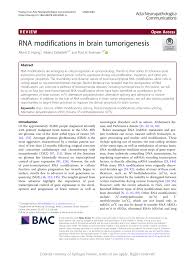 Koleksi huruf a sampai z dengan desain yang keren! Pdf Rna Modifications In Brain Tumorigenesis
