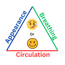 Image result for Pediatric Assessment Triangle