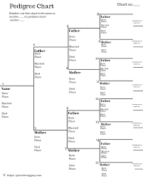 how to fill out pedigree chart timeless pedigree chart