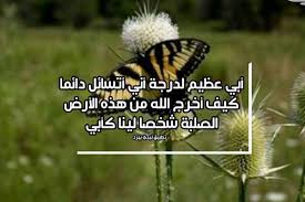 The y8 platform is a social network of 30 million players and growing. ÙƒÙ„Ø§Ù… Ø¹Ù„Ù‰ Ø§Ù„Ø§Ø¨ Ù„ÙŠØ¯ÙŠ Ø¨ÙŠØ±Ø¯