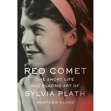 It Doesn't Matter Suit and Other Stories, The (Faber Children's Classics):  Plath, Sylvia: 9780571314645: Amazon.com: Books