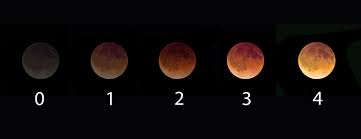 The light passing into the penumbra from the edge of the earth is slightly reddened, but the much brighter light that is unblocked by the earth is many orders of magnitude brighter, so the light and color of the moon in the penumbra is dominated by the uneclipsed light. What Color Is The Moon A Simple Science Project For Sunday Night S Eclipse Universe Today