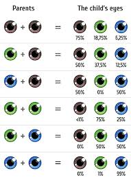 Choose Your Babys Eye Color The Fertility Institutes