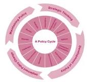 Image result for a course of government action taken to attempt to address a public problem is known as what