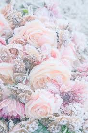 Pin By Mara On Phone Screens Phone Wallpapers Tumblr Tumblr Wallpaper Flower Wallpaper