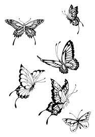 Vlinders Butterfly Tattoos For Women Black Butterfly Tattoo Butterfly Tattoo Designs