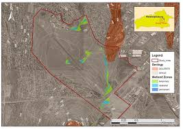 Image result for Periglossum mackenii