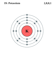 See The Electron Configuration Diagrams For Atoms Of The Elements Potassium Atom Atom Diagram Electron Configuration
