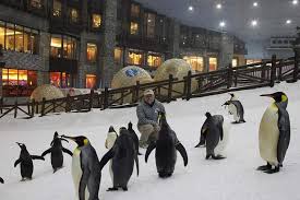 Click now & visit today. Ski Dubai Snow Classic Tickets 2021