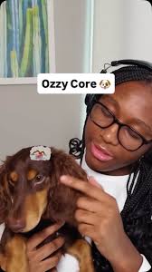 POV: You’re a Doxie and keeping things interesting IS the job