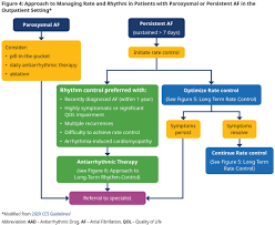 Image result for Ventricular Fibrillation Management in the Adult