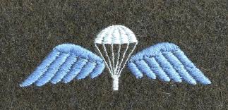 246 results for 21 sas. Arnhem Jim The Original Brevet First Wings Of The Parachute Regiment