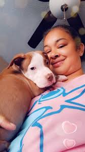 Hi everyone, my name is Gojira. I will be 12 weeks old this Sunday 🐶