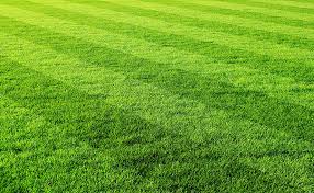 Do you want to make your simple lawn into an attractive one? How To Stripe A Lawn Brinlyu