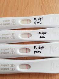 Poor Line Progression Babycentre