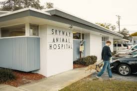 Whether you're looking for an experienced hospital in your community or want to ensure the legacy of your veterinary practice is carried forward, know that petvet is committed to. Skyway Animal Hospital Veterinarians Near Me St Petersburg Fl