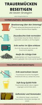 Trauermucken Beseitigen Die Besten Strategien Gartenblog Naturgartenideen In 2020 Trauermucken Hausmittel Hausmittel Gegen Fliegen