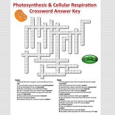 Cellular respiration pogil packet answer key cellular respiration an overview pogil packet answer key gdf gdpr gdrive gdp gdv gdoc gdc gdm gdf espace client gdb. Pin On Home